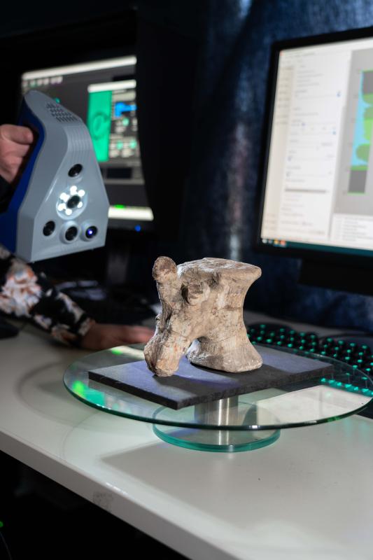 Artec Leo beim Scannen eines Dinosaurierknochens ©Eran Wolff, MfN Berlin